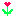 kwiatek favicon